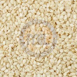 Premium Quality White Sesame Seeds