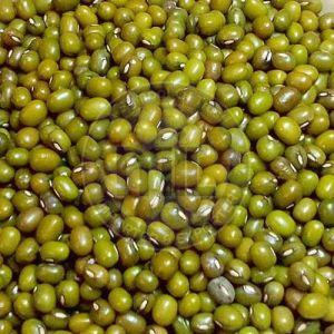 Premium Quality Whole Green Moong Dal