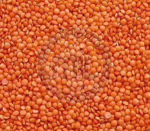 Red Whole Masoor Dal