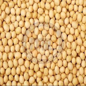 Whole Dried Yellow Peas