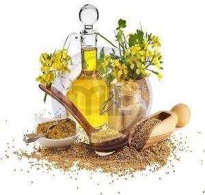 Yellow Mustard Oil