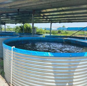 Galvanized Steel Fish Tanks