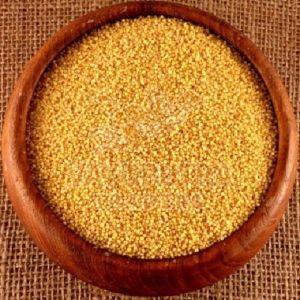 Foxtail Millet