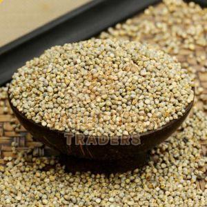 Hybrid Pearl Millet