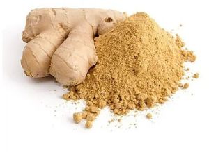 Dehydrated Ginger Powder