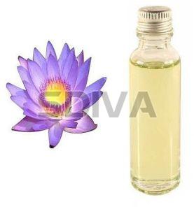 Blue Lotus Oil