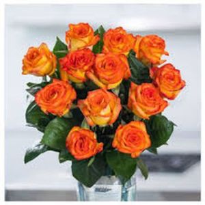 Fresh 20 Orange Roses Bouquet