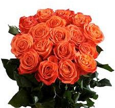 Fresh 20 Orange Roses Bouquet