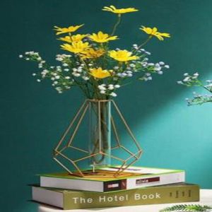 Hex Shape Metal Wire Glass Tube Vase