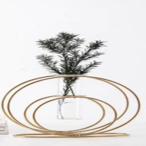 Round Shape Metal Wire Glass Tube Vase