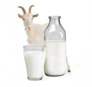 Organic Fresh Goat Milk