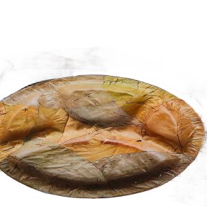 12Inch 4 Compartment Sal Leaf Plate