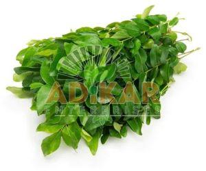 Fresh Curry Leaves