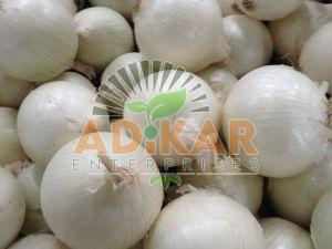 Fresh White Onion