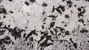 Imported Impala Granite Slab