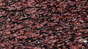 Indian Asian Top Granite Slab