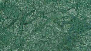 Indian Forest Green Granite Slab