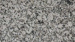 Indian Premium White Granite Slab