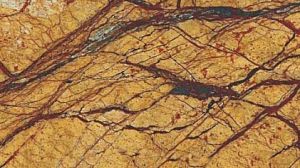 Indian Rainforest Gold Granite Slab