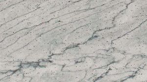 Indian River White Granite Slab