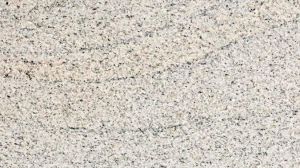 Indian Viscon White Granite Slab