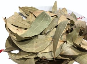 Bay Leaf