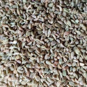 Carom Seeds