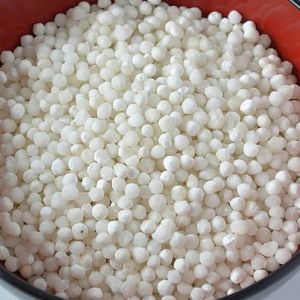White Moti Sabudana