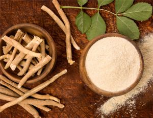 Treezen Organic Ashwagandha Powder