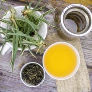 Treezen Organic Yellow Tea