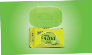 tina 100g grade-3 bath soap