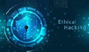 Ethical Hacking Services
