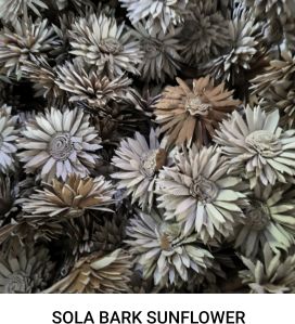 Bark Sola Wood Sunflower
