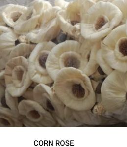 Daisy Corn Rose Flowers