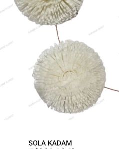 Kadam Sola Wood Flower