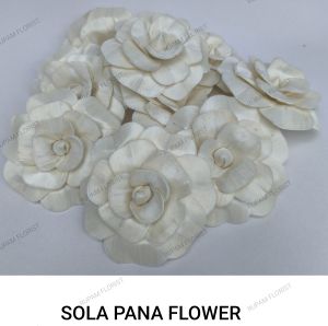 Pan Sola Wood Flowers