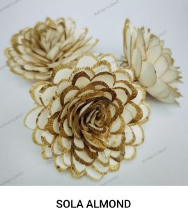 Sola Almond Flowers