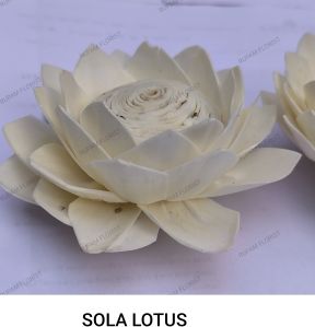 Sola Wood Lotus Flower