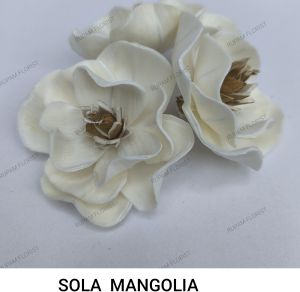 Sola Wood Mangolia Flowers