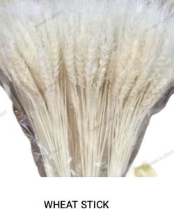 Wheat Grass Dried Flowers