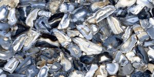 Galaxy Stone Porcelain Tiles