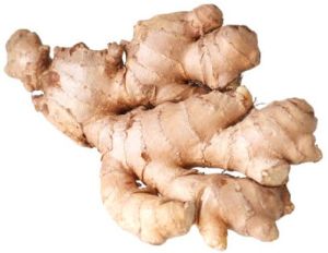 Fresh Ginger
