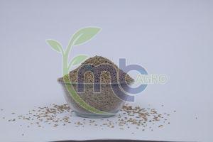 Grade 2 Silver Select Jeera