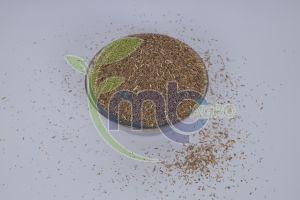 Grade 3 Daily Fresh Jeera