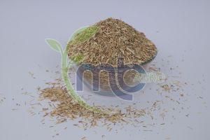 Grade 5 Raw Aroma Jeera