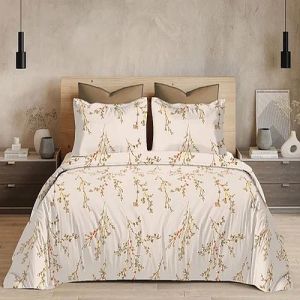 Gloria King Size Pure Cotton Printed Bedsheet Set