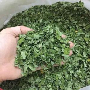 Dry Moringa Leaves