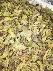 Second Quality Dry Curry Leaves