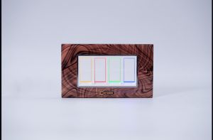 4 Modular Glass Switch Plate