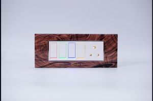 6 Modular Glass Switch Plate